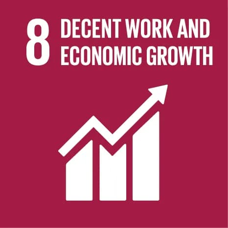 UN Sustainable Development Goal 8 — Decent work and economic growth