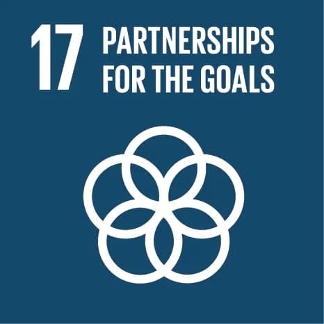 UN Sustainable Development Goal 17 — Partnerships for the goals